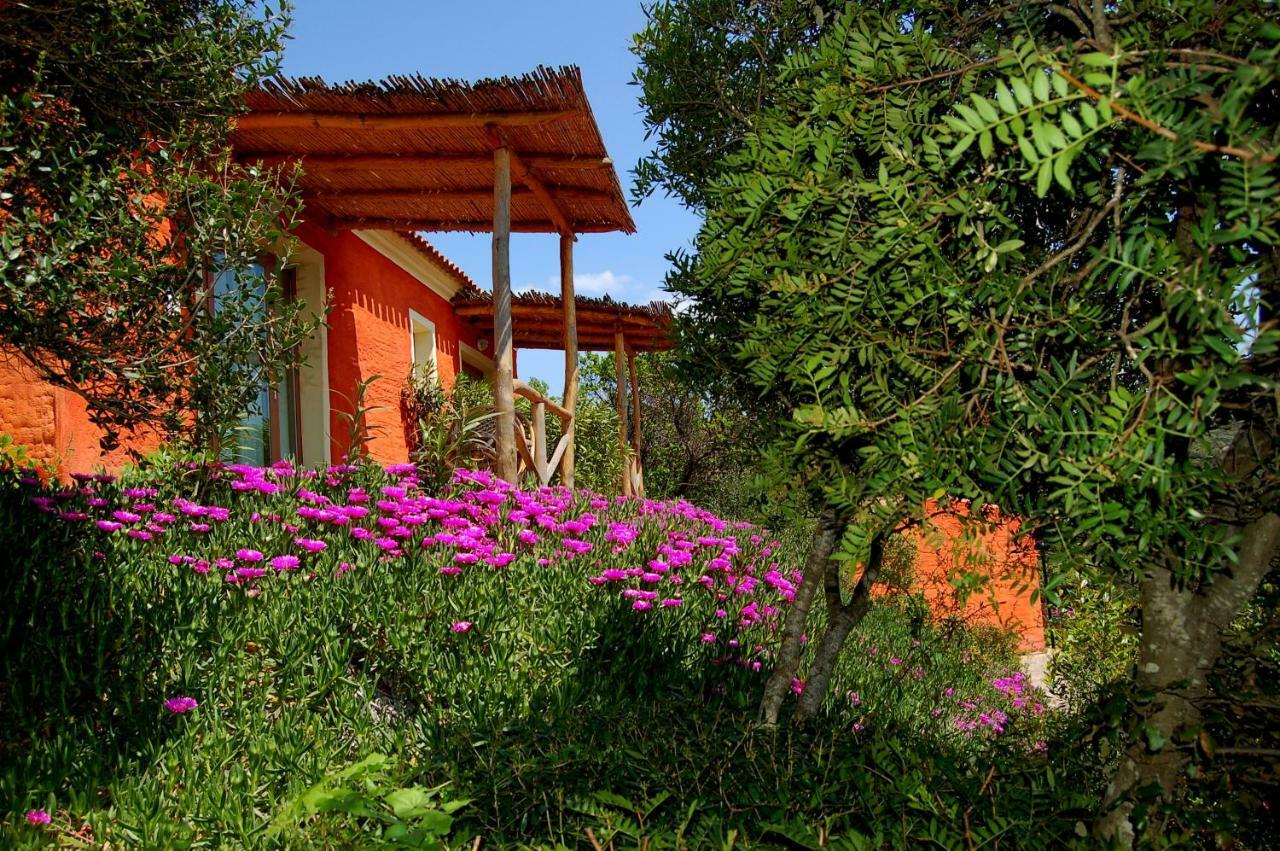 Hotel Aldiola Country Resort Sant'Antonio di Gallura Exteriér fotografie